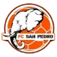 Logo of San Pedro FC