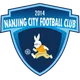 Logo of Nanjing City