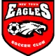 Logo of New Town Eagles