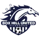 Logo of Box Hill United SC