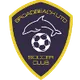 Logo of Broadbeach United