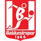 Logo of Balikesirspor