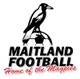 Logo of Maitland