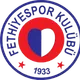 Logo of Fethiye