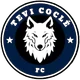 Logo of Tevi Cocle (W)