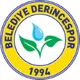 Logo of Derincespor