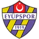 Logo of Eyupspor