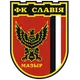 Logo of Slavia Mozyr
