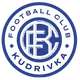 Logo of Kudrivka