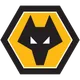 Logo of Wolverhampton U21