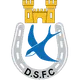 Logo of Dungannon Swifts Reserves