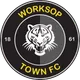 Logo of Worksop Town