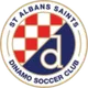 Logo of St. Albans Saints U21