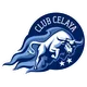 Logo of Celaya FC