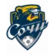 Logo of FC Sochi