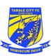 Logo of Tamale City
