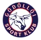 Logo of Godollo