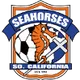 Logo of Hippocampus of southern California