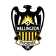 Wellington Phoenix Reserve