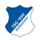TSG Hoffenheim