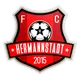 Logo of Hermannstadt