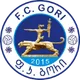 Logo of FC Gori