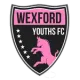 Logo of Wexford Youths (w)