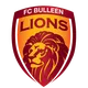 FC Bulleen Lions