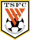 Logo of Shandong Taishan FC