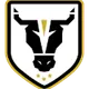 Logo of Bulls Academy