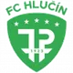 Logo of Hlucin