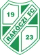 Logo of Kaposvar