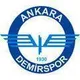 Logo of Ankarademirspor