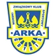 Logo of Arka Gdynia