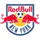 New York Red Bulls