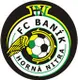 Logo of FC Banik Prievidza