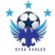 Logo of SCSA Eagles