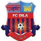 Logo of Dila Gori