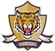Logo of Tigres Zipaquira