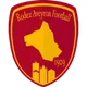 Logo of Rodez Aveyron