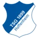 Logo of TSG Hoffenheim Youth