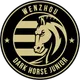 Wenzhou Professional Football Club