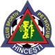 Logo of CS Petrocub