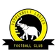 Logo of Copper Belts FC (w)