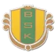 Logo of Bollstanas Sk (w)