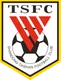 Logo of Shandong Taishan B