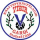 Logo of UMF Vidir
