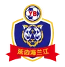 Logo of Yanbian Longding
