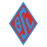 Logo of Blumenthaler SV