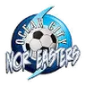 Logo of Ocean City Noreasters